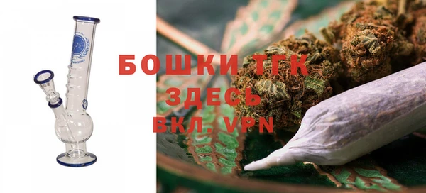 молекула духа Волоколамск