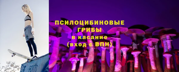ПСИЛОЦИБИНОВЫЕ ГРИБЫ Вязники