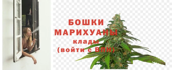 ПСИЛОЦИБИНОВЫЕ ГРИБЫ Вязники