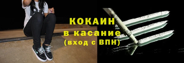 ПСИЛОЦИБИНОВЫЕ ГРИБЫ Вязники