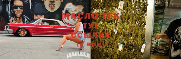 ПСИЛОЦИБИНОВЫЕ ГРИБЫ Вязники