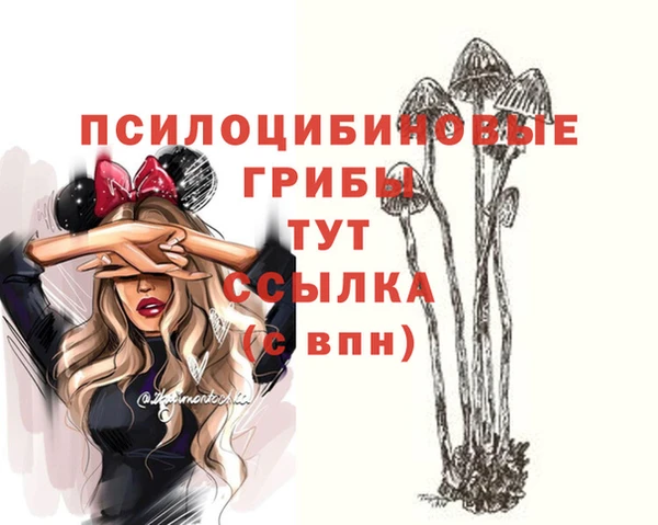 ПСИЛОЦИБИНОВЫЕ ГРИБЫ Вязники