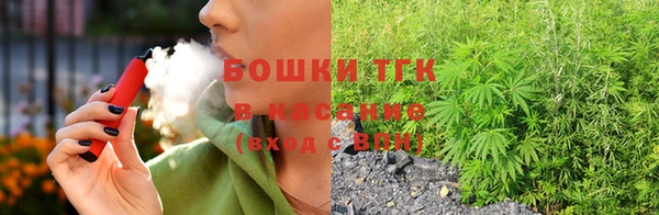 молекула духа Волоколамск