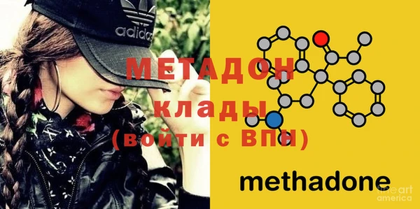 ПСИЛОЦИБИНОВЫЕ ГРИБЫ Вязники