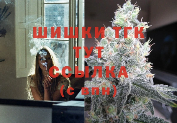 ПСИЛОЦИБИНОВЫЕ ГРИБЫ Вязники