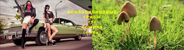 марки nbome Вяземский