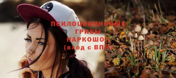 ПСИЛОЦИБИНОВЫЕ ГРИБЫ Вязники