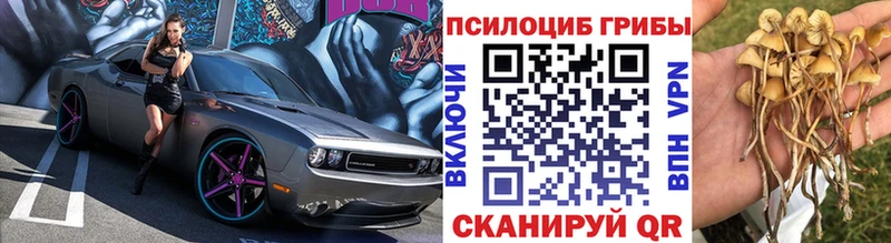 Галлюциногенные грибы ЛСД  Купить где  Мирный 
